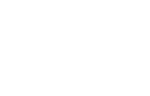 Remedium Systems logo